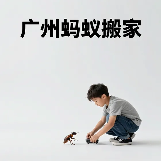 西陵区婚车服务
